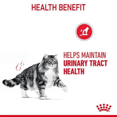 Text: Health Benefit. Helps maintain urinary tract health. Image of a cat and red icon with cat silhouette. Royal Canin branding visible.