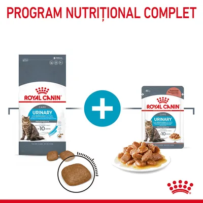 Program nutrițional complet Royal Canin Urinary pentru pisici, imagine cu pachet de hrană uscată și plic de hrană umedă, plus porții prezentate separat.