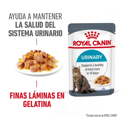 ROYAL CANIN URINARY. Ayuda a mantener la salud del sistema urinario. Finas láminas en gelatina. Imagen de sobre, comida húmeda y gato. Texto en inglés: Supports a healthy urinary tract in 10 days.