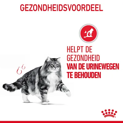 GEZONDHEIDSVOORDEEL. Helpt de gezondheid van de urinewegen te behouden. Afbeelding van een kat en symbool met kat en plasvlek. Royal Canin merk zichtbaar.