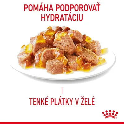 Pomáha podporovať hydratáciu. Tenké plátky v želé. Na obrázku tanier s kúskami mäsa v želé, logo Royal Canin v pravom dolnom rohu.