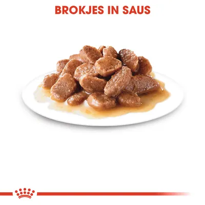 Brokjes in saus op een wit bord, tekst bovenaan: 'BROKJES IN SAUS'.