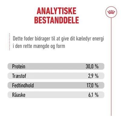Royal Canin Ageing 11+