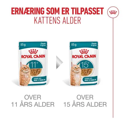 Royal Canin Ageing 11+ i saus