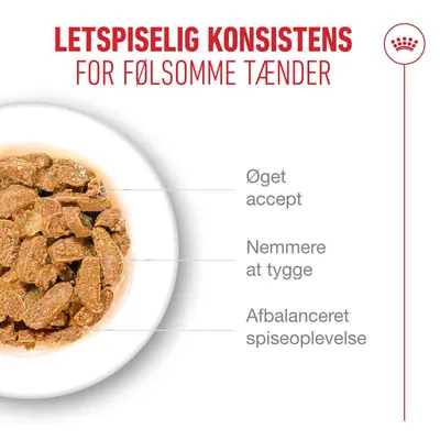 Royal Canin Ageing 11+ i gelé