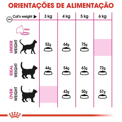 Tabela de orientações de alimentação para gatos: peso 3–6 kg, doses diárias em gramas para abaixo do peso, peso ideal e excesso de peso. Inclui indicação para água.