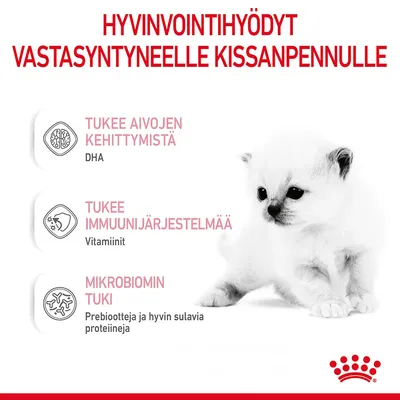 Hyvinvointihyödyt vastasyntyneelle kissanpennulle: tukee aivojen kehittymistä (DHA), tukee immuunijärjestelmää (vitamiinit), mikrobiomin tuki (prebiootit, hyvin sulavat proteiinit).