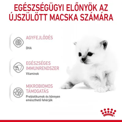 EGÉSZSÉGÜGYI ELŐNYÖK AZ ÚJSZÜLÖTT MACSKA SZÁMÁRA: AGYFEJLŐDÉS DHA, EGÉSZSÉGES IMMUNRENDSZER Vitaminok, MIKROBIOMOS TÁMOGATÁS Prebiotikumok és könnyen emészthető fehérjék