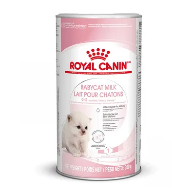 Royal Canin BABYCAT MILK Lait pour chatons 0–2 months. Mælkeerstatning til killinger. Nettovægt: 300 g. Billede af en lille hvid killing på emballagen.
