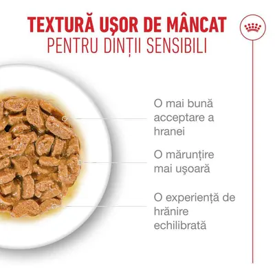 Textură ușor de mestecat pentru dinți sensibili. Acceptare mai bună a hranei, mărunțire mai ușoară, experiență de hrănire echilibrată. Textură ușor de mestecat pentru dinți sensibili. Acceptare mai bună a hranei, mărunțire mai ușoară, experiență de hrănire echilibrată.