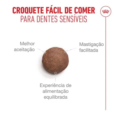 Royal Canin Ageing 15+