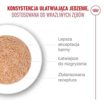 Royal Canin Ageing 15+ Mousse