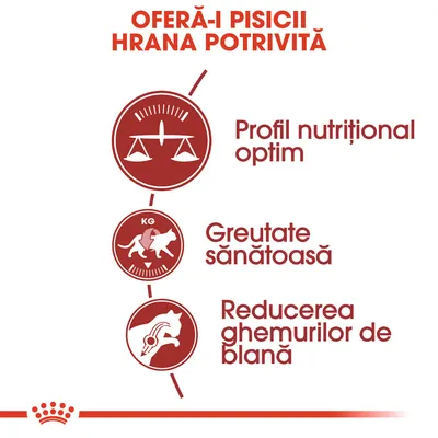 Oferă-i pisicii hrana potrivită. Profil nutrițional optim, greutate sănătoasă, reducerea ghemurilor de blană.