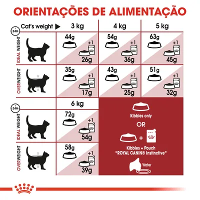 Tabela de orientações de alimentação para gatos Royal Canin: doses diárias em gramas para pesos de 3, 4, 5 e 6 kg, diferenciando peso ideal e excesso de peso, com opção de ração seca ou mista.