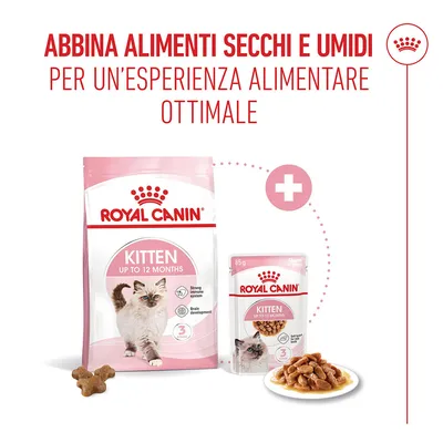 Royal Canin Kitten