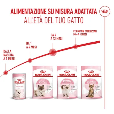 Royal Canin Kitten