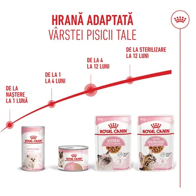 Produse de hrană pentru pisici Royal Canin pentru diferite etape de vârstă: Babycat Milk, hrană umedă pentru 0–2 luni, pisoi până la 12 luni, pisoi sterilizați 6–12 luni. Repartizarea pe perioade este vizibilă.
