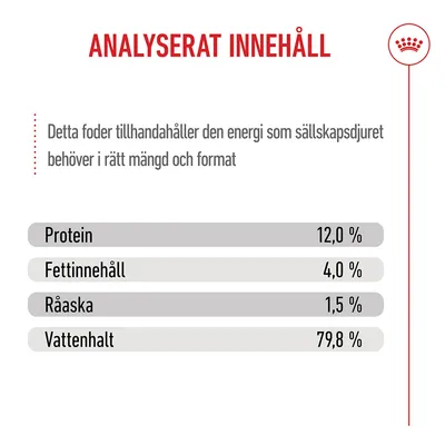 Royal Canin Kitten i gelé
