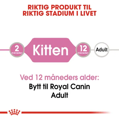 Royal Canin Kitten i gelé