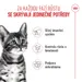 Royal Canin Kitten Sterilised