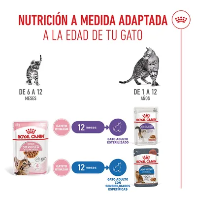 Royal Canin Sterilised Kitten en salsa