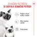 Royal Canin Mother & Babycat