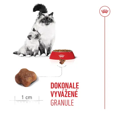 Royal Canin Mother & Babycat