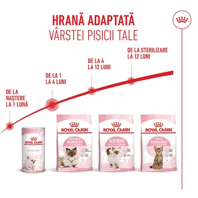 Produse Royal Canin pentru pisici: Babycat Milk 0–2 luni, Mother & Babycat 1–4 luni, Kitten până la 12 luni, Kitten Sterilised 6–12 luni. Indicații de vârstă pe axa temporală. Produse Royal Canin pentru pisici: Babycat Milk 0–2 luni, Mother & Babycat 1–4 luni, Kitten până la 12 luni, Kitten Sterilised 6–12 luni. Indicații de vârstă pe axa temporală.