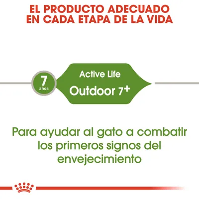 El producto adecuado en cada etapa de la vida. Active Life Outdoor 7+ para gatos a partir de 7 años. Para ayudar al gato a combatir los primeros signos del envejecimiento.