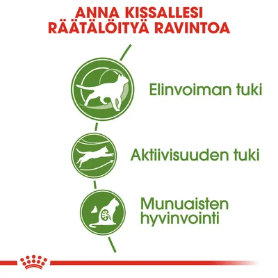 ANNA KISSALLESI RÄÄTÄLÖITYÄ RAVINTOA. Elinvoiman tuki, aktiivisuuden tuki, munuaisten hyvinvointi.