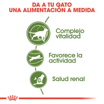 Da a tu gato una alimentación a medida. Complejo vitalidad, favorece la actividad, salud renal.