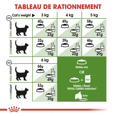Tableau de rationnement pour chats Royal Canin : quantités de croquettes et sachets par poids (3, 4, 5, 6 kg) et statut (poids idéal ou surpoids), options croquettes seules ou avec sachet.