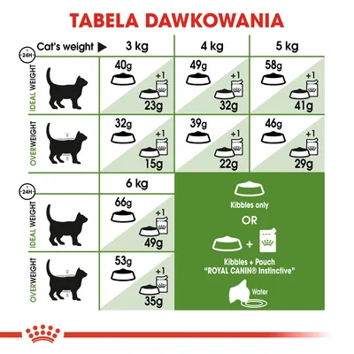 Tabela dawkowania karmy dla kotów Royal Canin: zalecane porcje suchej i mokrej karmy w gramach dla kotów o wadze 3–6 kg, z podziałem na wagę idealną i nadwagę.