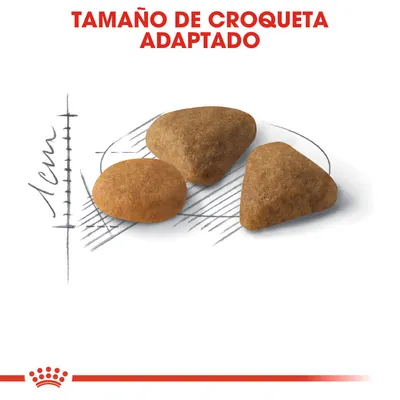 Tamaño de croqueta adaptado. Imagen de tres croquetas de pienso con escala de 1 cm al fondo, mostrando la forma y tamaño del producto.