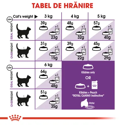 Tabel de hrănire pentru pisici: cantități zilnice recomandate în funcție de greutate (3–6 kg) și condiție corporală, cu opțiuni pentru hrană uscată sau combinată. Include instrucțiuni vizuale.