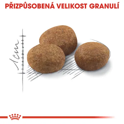 Tři granule s měřítkem 1 cm, text: PŘIZPŮSOBENÁ VELIKOST GRANULÍ