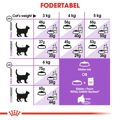 Fodertabel for katte: daglige mængder tørfoder og vådfoder ved ideal- og overvægt, opdelt efter vægt 3–6 kg. Viser også mulighed for kun tørfoder eller kombination med Royal Canin Sterilised.