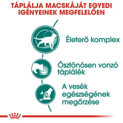 Táplálja macskáját egyedi igényeinek megfelelően: Életerő komplex, ösztönösen vonzó táplálék, a vesék egészségének megőrzése.
