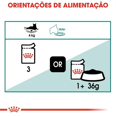 Orientações de alimentação para gato de 4 kg: 3 saquetas ou 1 saqueta mais 36 g de ração seca. Incluir água disponível.