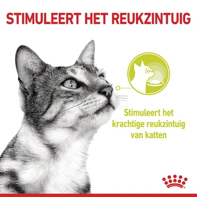 Stimuleert het reukzintuig. Stimuleert het krachtige reukzintuig van katten.