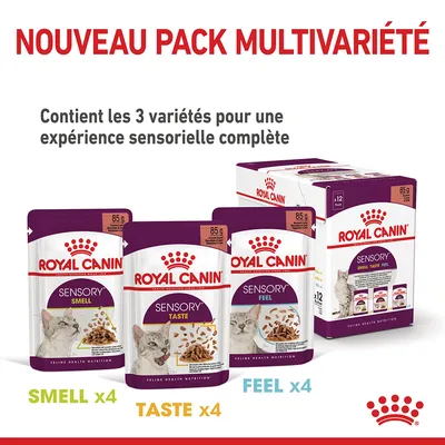 Royal Canin Sensory pack multivariété pour chats, 12 sachets de 85 g : 4 Smell, 4 Taste, 4 Feel. Contient les 3 variétés pour une expérience sensorielle complète. Texte en français.