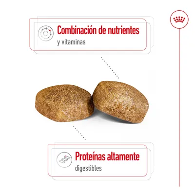 Dos croquetas de pienso con textos: 'Combinación de nutrientes y vitaminas' y 'Proteínas altamente digestibles'.
