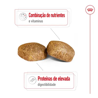 Composição de croquetes com texto: 'Combinação de nutrientes e vitaminas' e 'Proteínas de elevada digestibilidade'.