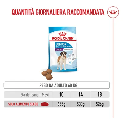 Royal Canin Giant Junior Crocchette per cane