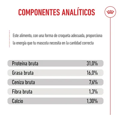 Royal Canin Giant Junior