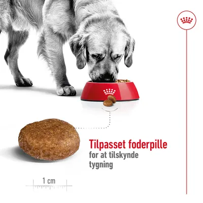 Hund spiser af rød foderskål med tekst: Tilpasset foderpille for at tilskynde tygning. Foderpillens størrelse vises med målestok: 1 cm.