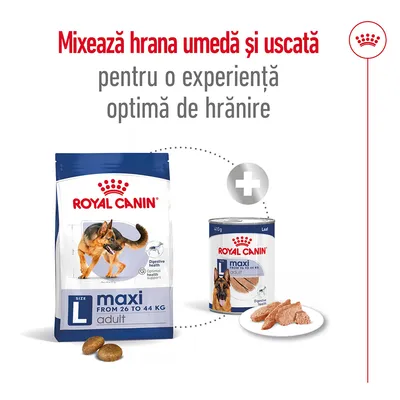 Royal Canin maxi adult L, hrană uscată și umedă pentru câini 26–44 kg. Text: Mixează hrana umedă și uscată pentru o experiență optimă de hrănire.