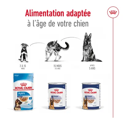 Alimentation adaptée à l’âge de votre chien : Royal Canin Puppy 2–15 mois, Maxi Adult 15 mois–5 ans, Maxi Ageing après 5 ans. Trois produits visibles avec chiens illustrés.