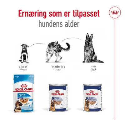 Royal Canin Maxi Adult Mousse