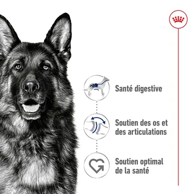 Santé digestive, soutien des os et des articulations, soutien optimal de la santé – trois icônes explicatives à côté d’un chien en noir et blanc, logo couronne rouge en haut à droite.